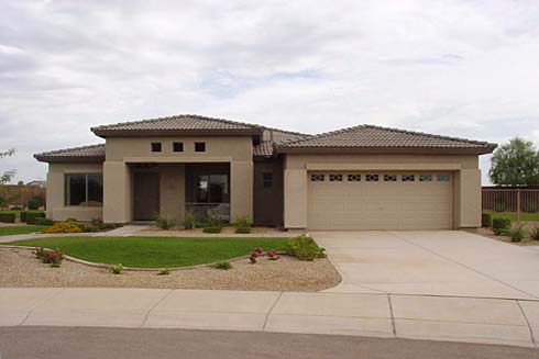 Model Desert Willow