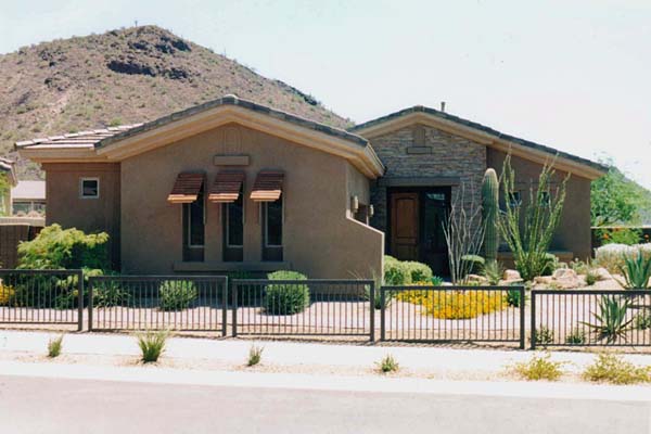 Model Desert Willow