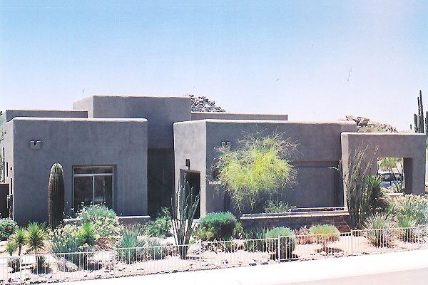 Model Silver Cholla