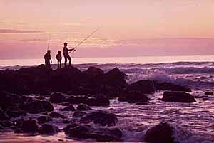 Pajaro Dunes New Homes