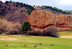 Castle Pines New Homes