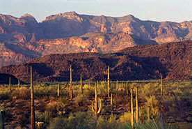 Cave Creek New Homes