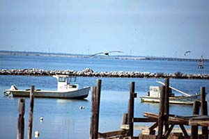 Indian River County New Home Community