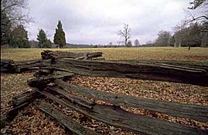 Woodbridge New Homes