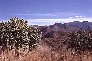 Flagstaff New Home Community